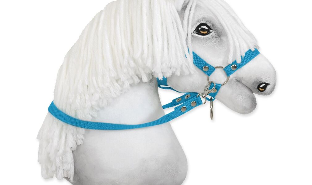 Wodze dla konia Hobby Horse – turkus